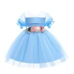 Girls Dress 2021 Summer New for 2 3 4 5 6 7 8 9 10 Years Old Wedding Flower Girls Princess Fluffy Dress Boutique Kids Clothing