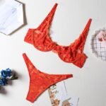 Sexy Lingerie V Neck Embroidered Underwear Underwired Push Up Bra Transparent Erotic Panties Wholesale Intimate
